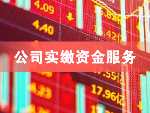 泸州公司实缴资金服务