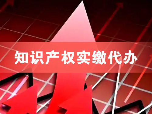 泸州知识产权实缴资本代办